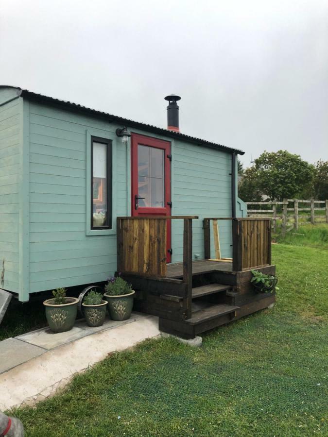 贝尔法斯特 Clydesdale Shepherds Hut酒店 外观 照片