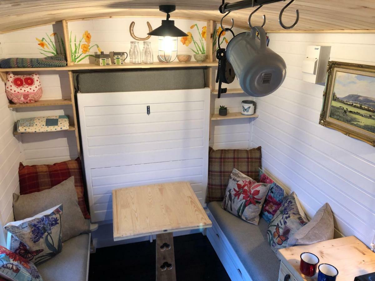 贝尔法斯特 Clydesdale Shepherds Hut酒店 外观 照片